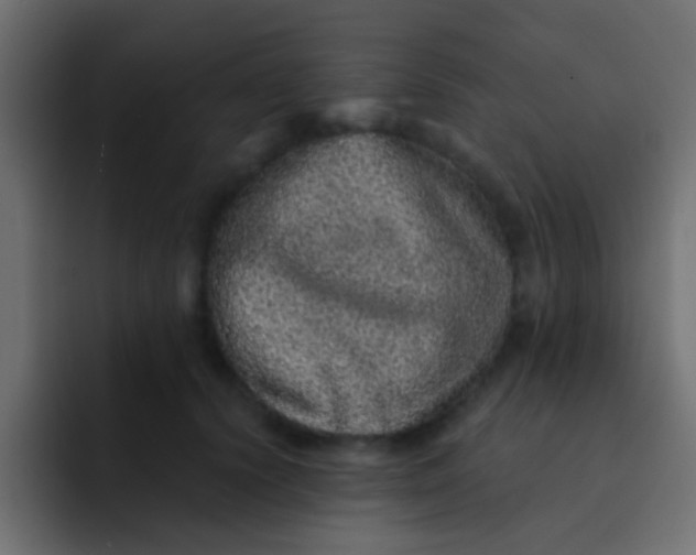 X0000092080656200710031137