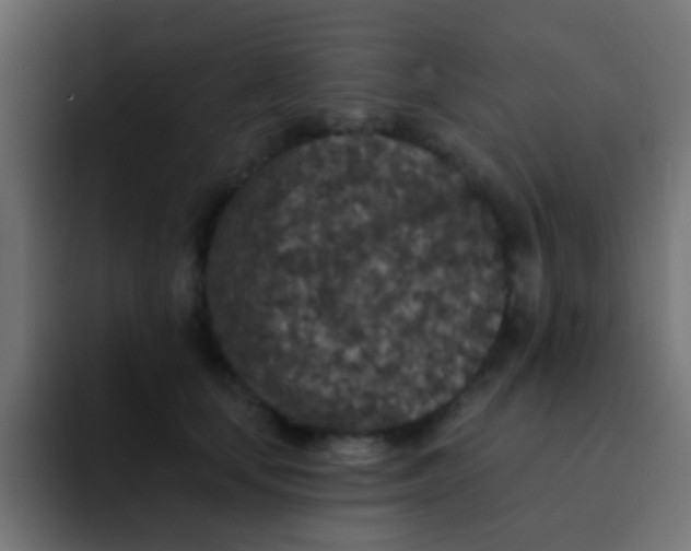 X0000092080659200710031137