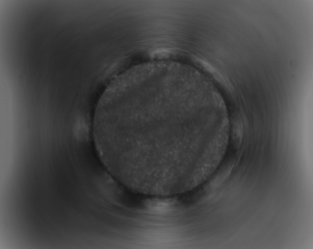 X0000092080661200710031137