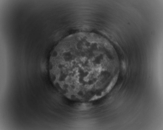 X0000092080663200710031137