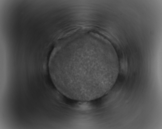 X0000092080667200710031137