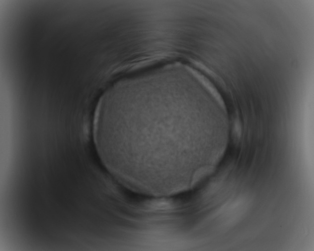 X0000092080668200710031137