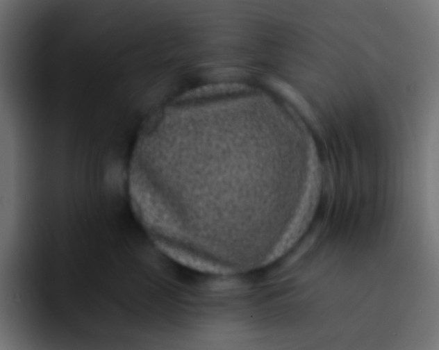 X0000092080669200710031137