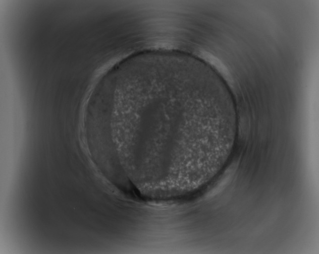 X0000092080673200710031137