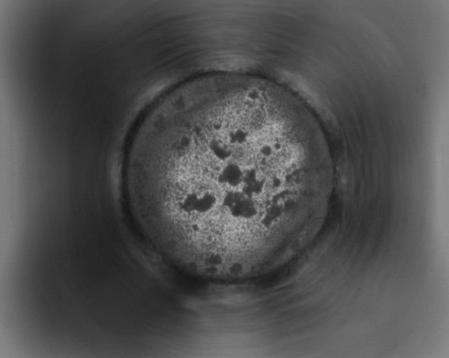 X0000092080679200710031137