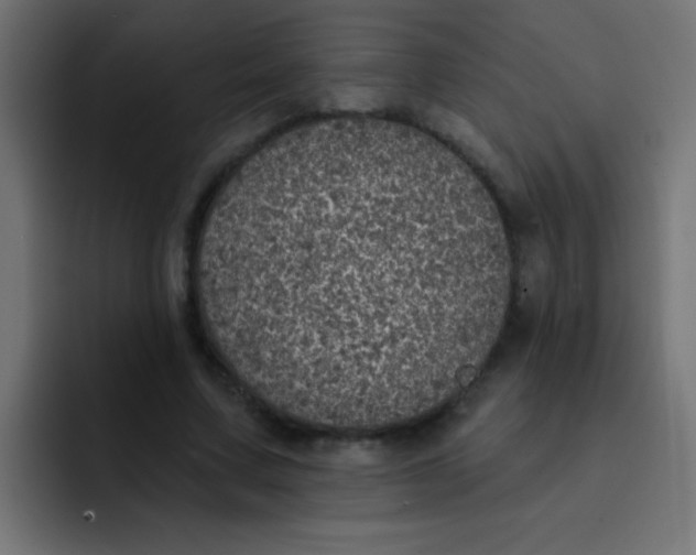 X0000092080683200710031137