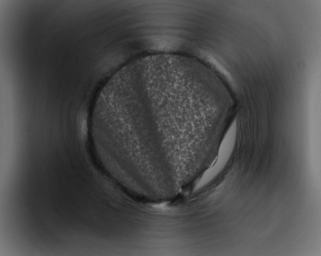 X0000092080685200710031137