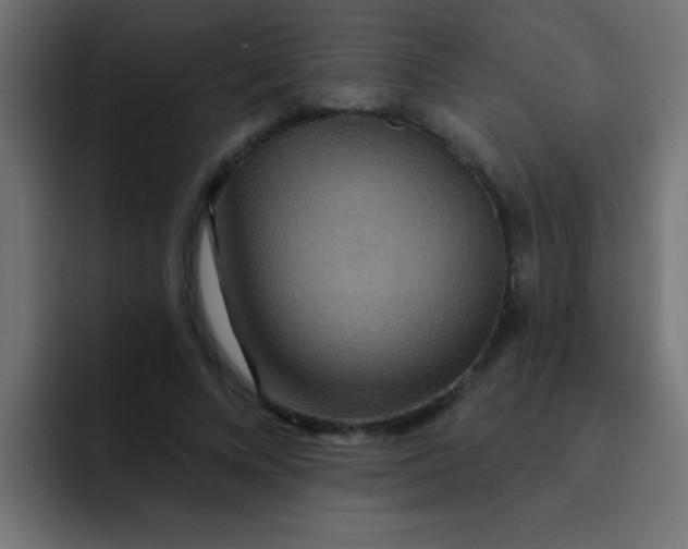 X0000092080688200710031137