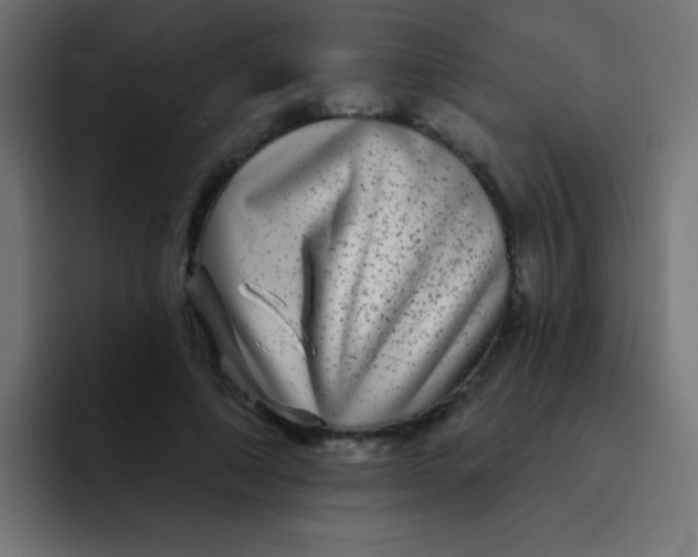 X0000092080690200710031137