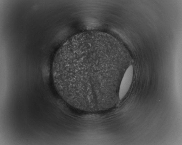 X0000092080691200710031137