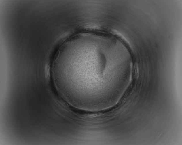 X0000092080692200710031137