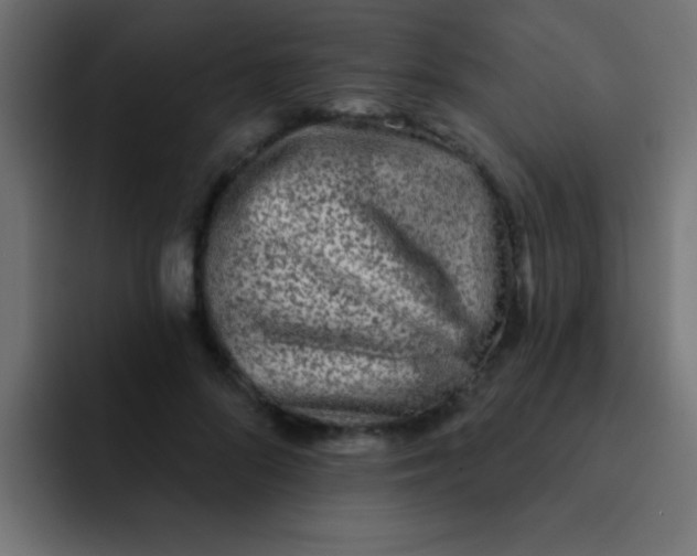 X0000092080696200710031136