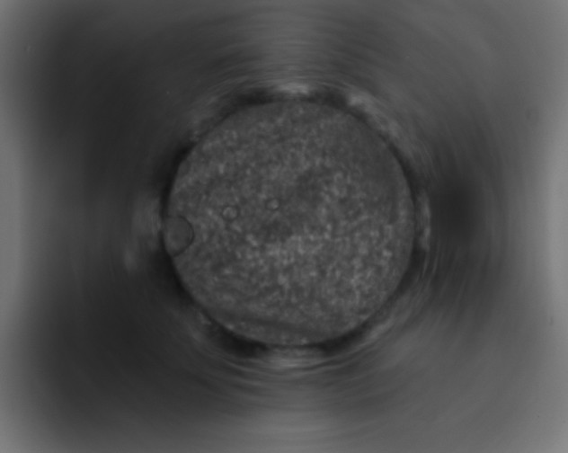 X0000092080707200710031136