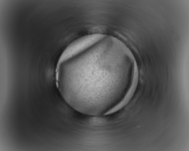 X0000092080714200710031136