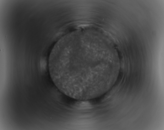 X0000092080715200710031136