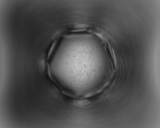 X0000092080716200710031136