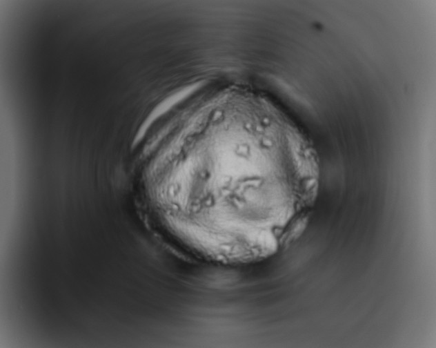 X0000092080719200710031136