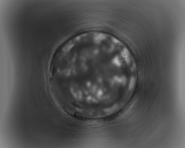 X0000092080721200710031136