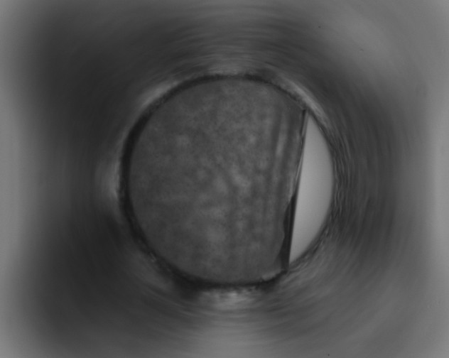 X0000092080724200710031136