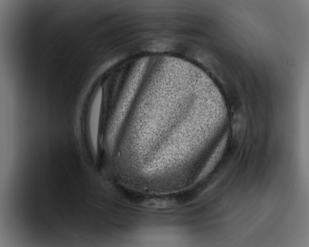 X0000092080727200710031136