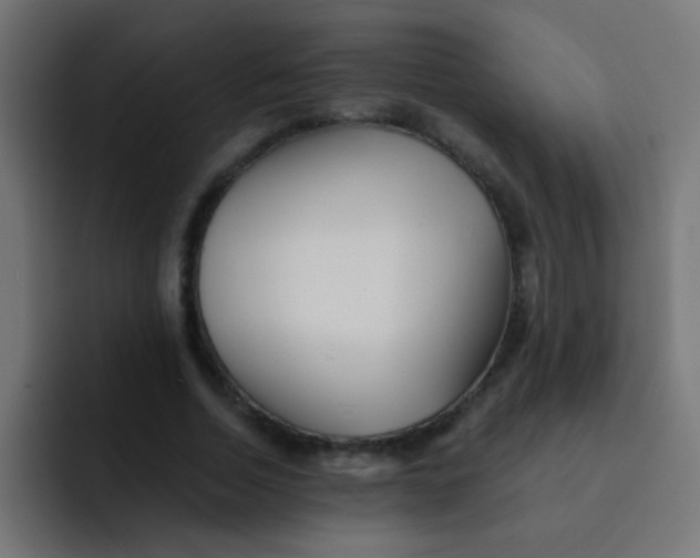 X0000092080730200710031136