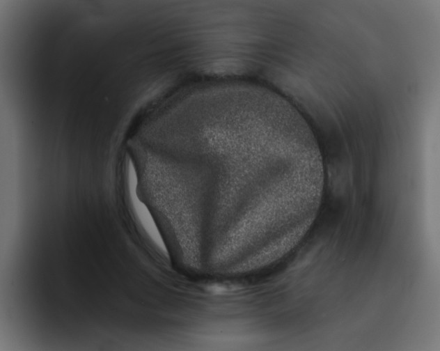 X0000092080735200710031136