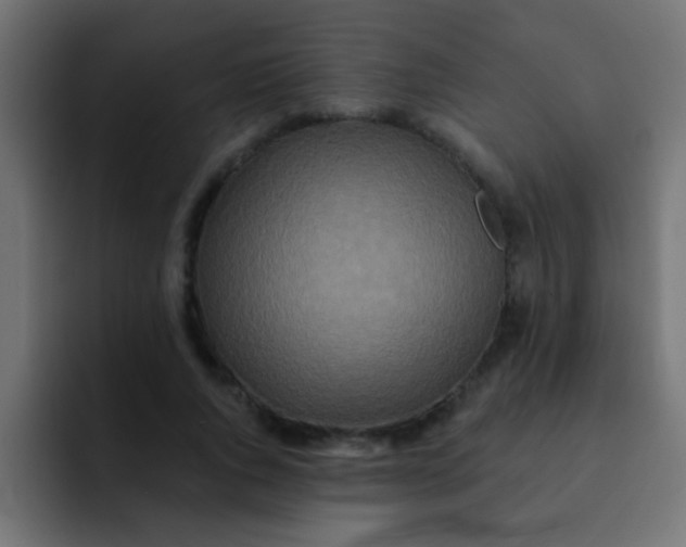 X0000092080736200710031136