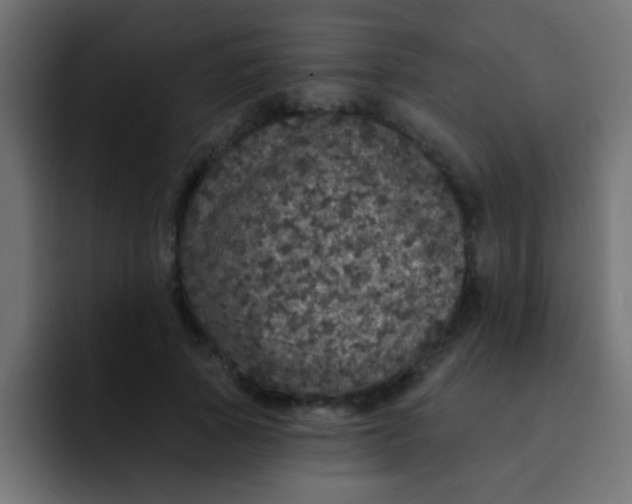 X0000092080737200710031136