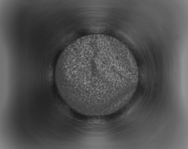 X0000092080745200710031136