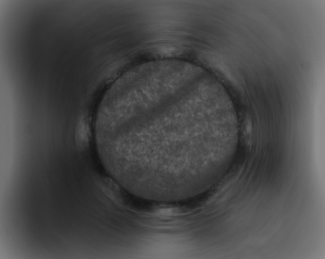 X0000092080746200710031136