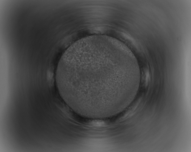 X0000092080749200710031136