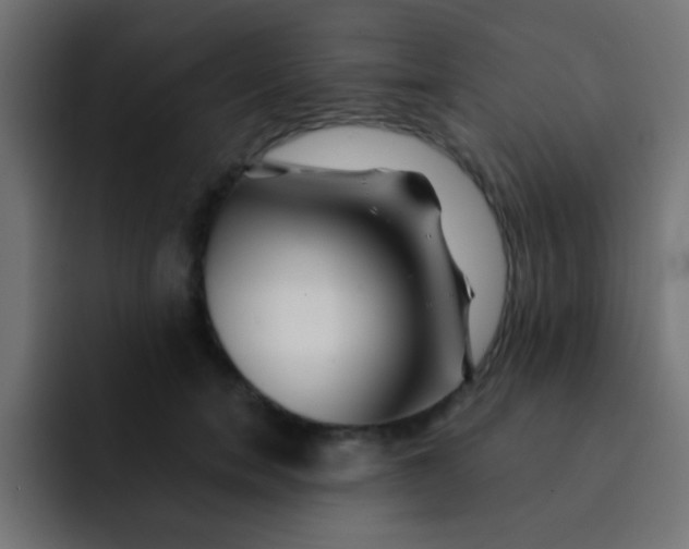 X0000092080750200710031136