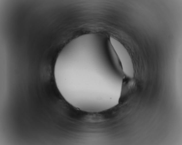 X0000092080752200710031136