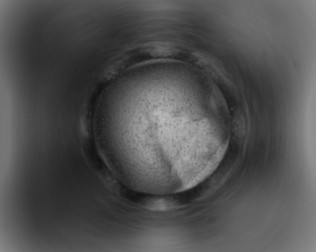 X0000092080755200710031136