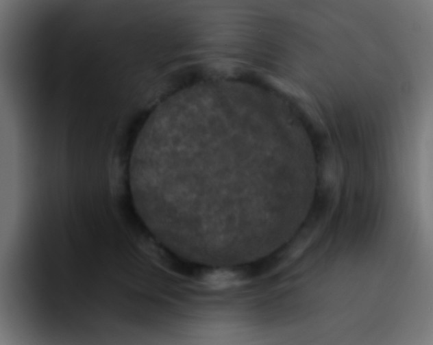 X0000092080759200710031136