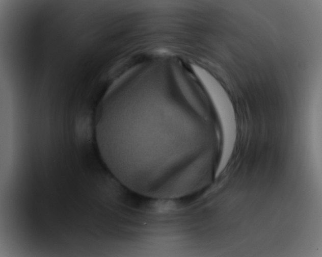 X0000092080762200710031136