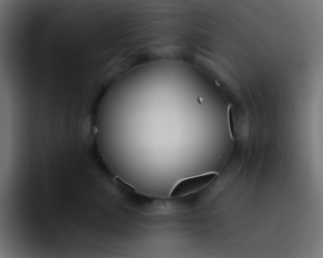 X0000092080764200710031136