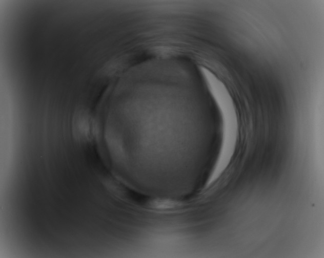 X0000092080766200710031136