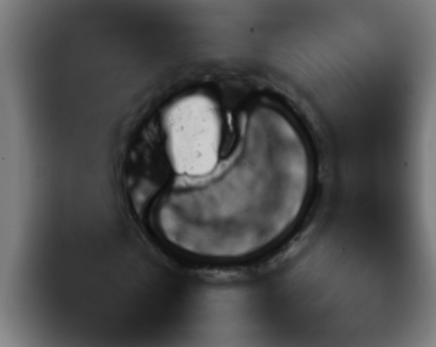 X0000092080769200710031136