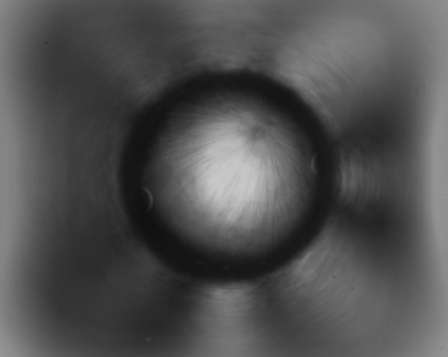 X0000092080770200710031136