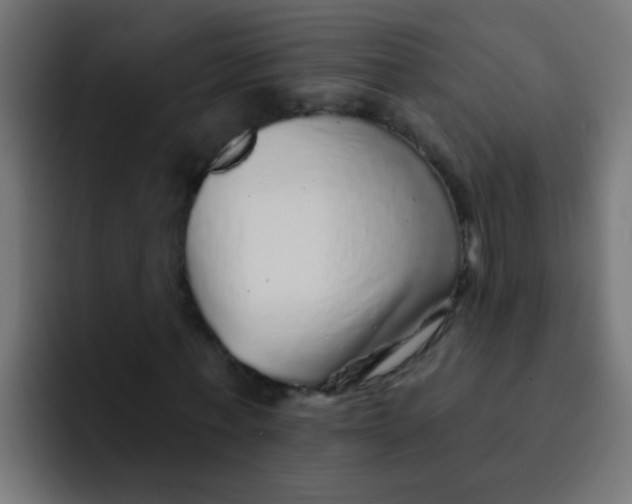 X0000092080771200710031136