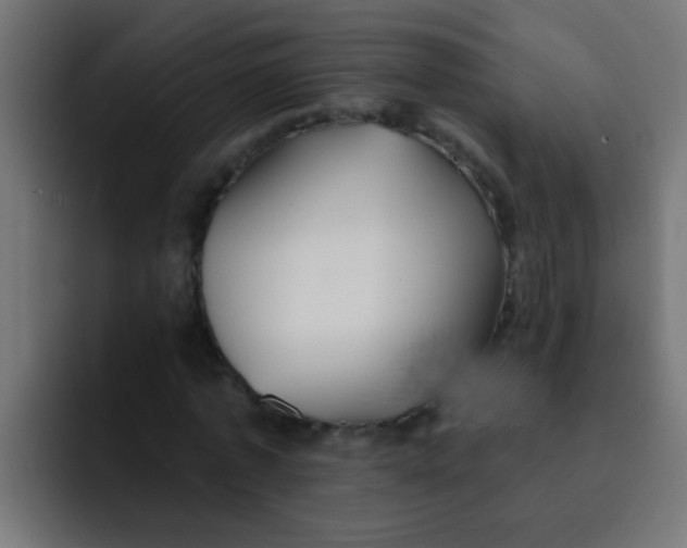 X0000092080773200710031136