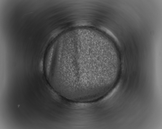 X0000092080777200710031136