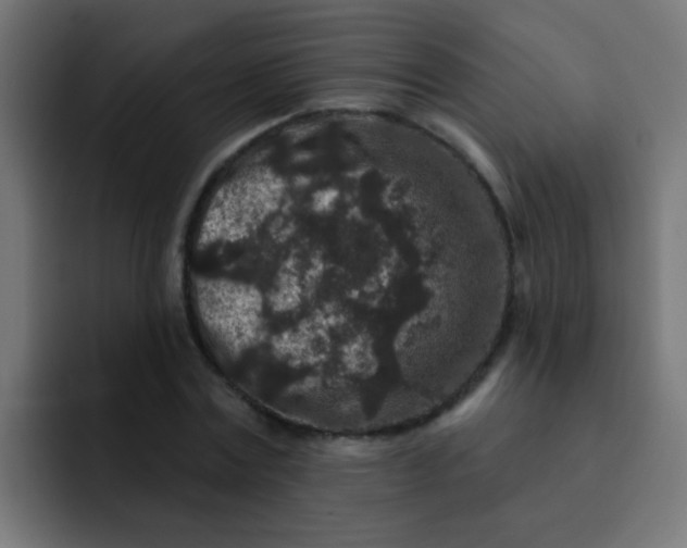 X0000092080779200710031136