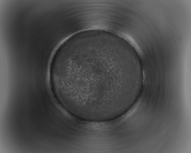 X0000092080780200710031136