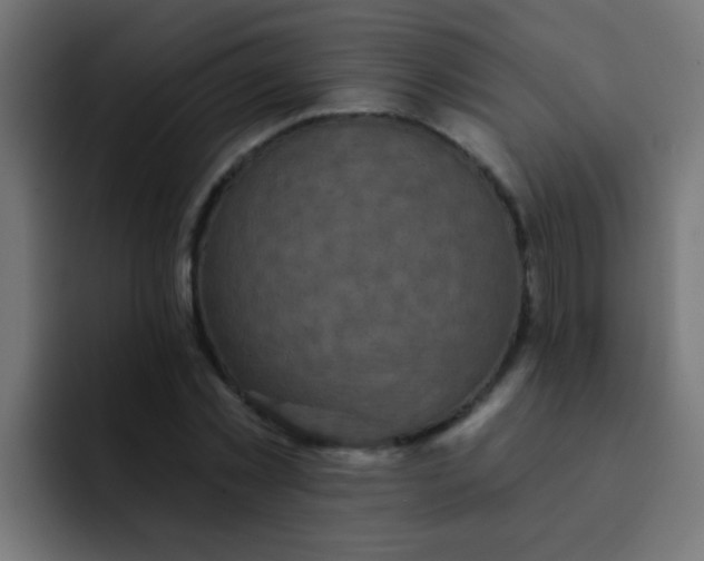 X0000092080781200710031135