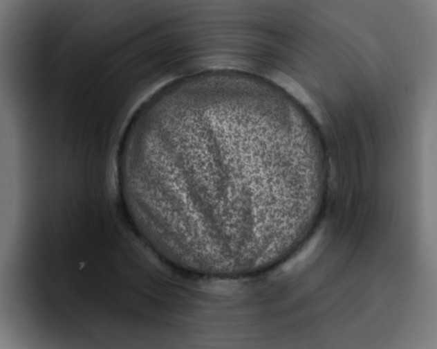 X0000092080782200710031135