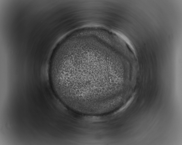 X0000092080783200710031135