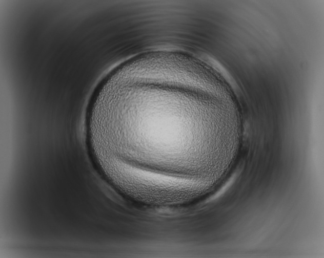 X0000092080787200710031135