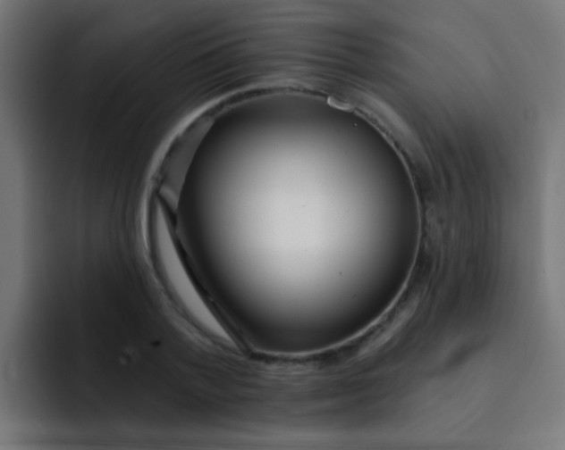 X0000092080788200710031135